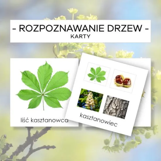 Aplikacje do identyfikacji roślin