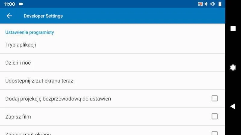 Opcje programistyczne Samsung