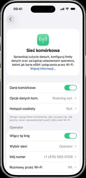 Oszczędzanie na kosztach roamingu