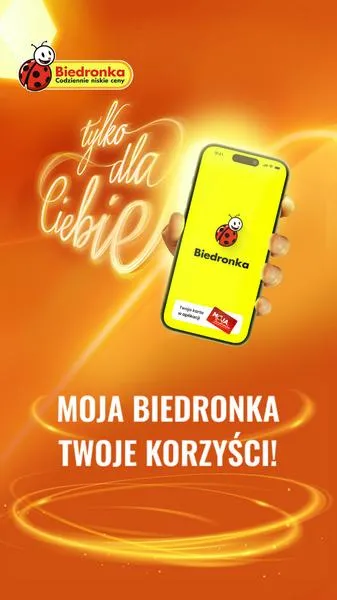 Rozwiązania problemów z aplikacją